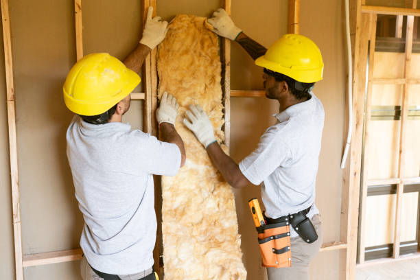 Best Insulation Removal  in Masury, OH